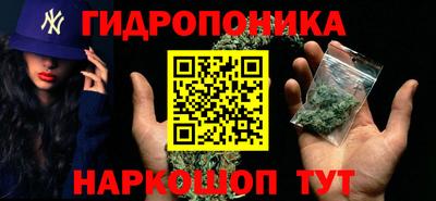 мяу мяу кристалл Ярославль