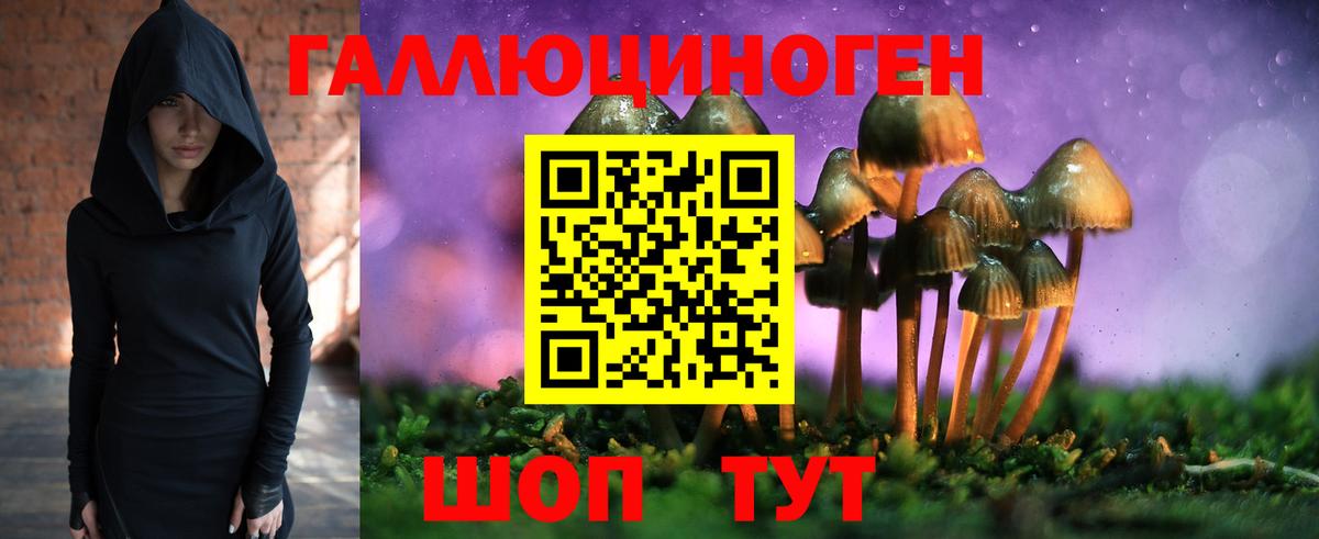 Аша  Галлюциногенные грибы Magic Shrooms  Галлюциногенные грибы ЛСД  купить наркотик  Вход с VPN 
